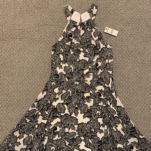 NWT Black and white Express dress